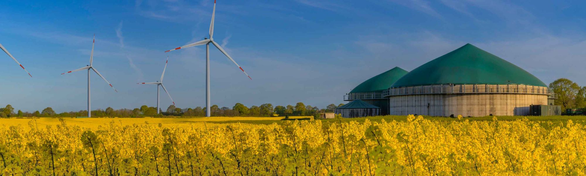 AD, Biogas & Biomethane